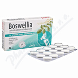 Favea Boswellia s chondroitinem a kolagenem tbl. 30